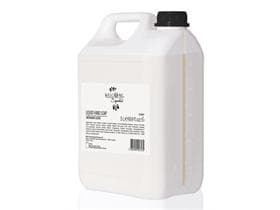 Welcome Liquid hand Soap 5 L mit Ginkgo Biloba-Extrakt